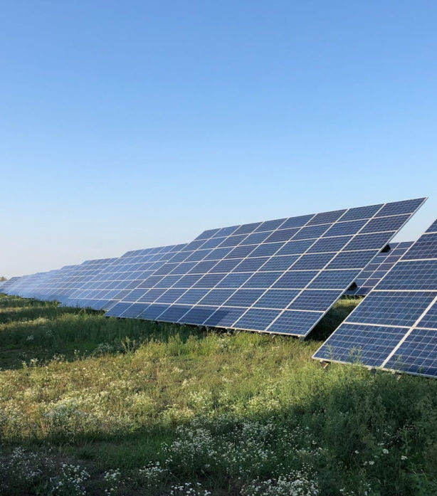 A large array of solar panels laid out in a green field on a sunny day.